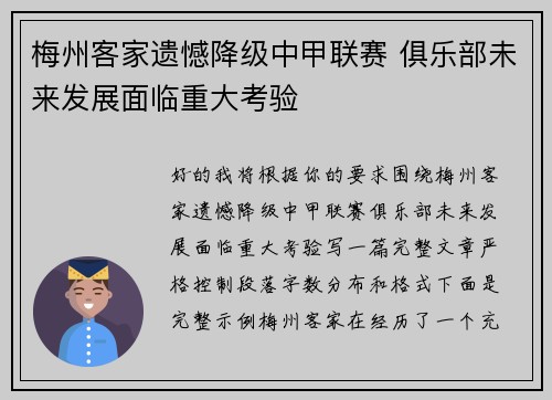 梅州客家遗憾降级中甲联赛 俱乐部未来发展面临重大考验
